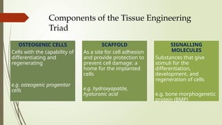 Components of the Tissue Engineering
Triad
OSTEOGENIC CELLS
Cells with the capability of
differentiating and
regenerating
e.g. osteogenic progenitor
cells
SCAFFOLD
As a site for cell adhesion
and provide protection to
prevent cell damage: a
home for the implanted
cells
e.g. hydroxyapatite,
hyaluronic acid
SIGNALLING
MOLECULES
Substances that give
stimuli for the
differentiation,
development, and
regeneration of cells
e.g. bone morphogenetic
protein (BMP)
 