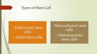 Types of Stem Cell
- Embryonal stem
cells
- Adult stem cells
- Mesenchymal stem
cells
- Hematopoietic
stem cells
 