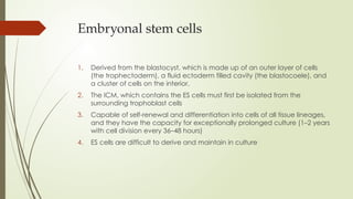 Embryonal stem cells
1. Derived from the blastocyst, which is made up of an outer layer of cells
(the trophectoderm), a fluid ectoderm filled cavity (the blastocoele), and
a cluster of cells on the interior.
2. The ICM, which contains the ES cells must first be isolated from the
surrounding trophoblast cells
3. Capable of self-renewal and differentiation into cells of all tissue lineages,
and they have the capacity for exceptionally prolonged culture (1–2 years
with cell division every 36–48 hours)
4. ES cells are difficult to derive and maintain in culture
 