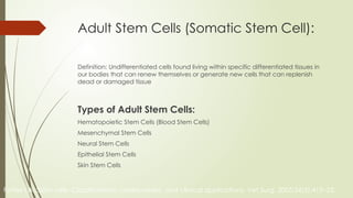 Adult Stem Cells (Somatic Stem Cell):
Definition: Undifferentiated cells found living within specific differentiated tissues in
our bodies that can renew themselves or generate new cells that can replenish
dead or damaged tissue
Types of Adult Stem Cells:
Hematopoietic Stem Cells (Blood Stem Cells)
Mesenchymal Stem Cells
Neural Stem Cells
Epithelial Stem Cells
Skin Stem Cells
Fortier LA. Stem cells: Classifications, controversies, and clinical applications. Vet Surg. 2005;34(5):415–23.
 