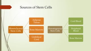 Sources of Stem Cells
Mesenchymal
Stem Cells
Adipose
Tissue
Bone Marrow
Umbilical
Cord
Hematogenous
Stem Cells
Cord Blood
Peripheral
Blood
Bone Marrow
 