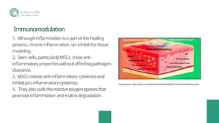 Stem Cell-Based Therapeutics: A New Horizon in Wound Healing | PPTX
