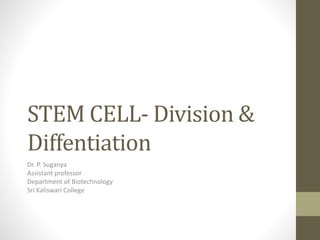 STEM CELL- Division &
Diffentiation
Dr. P. Suganya
Assistant professor
Department of Biotechnology
Sri Kaliswari College
 