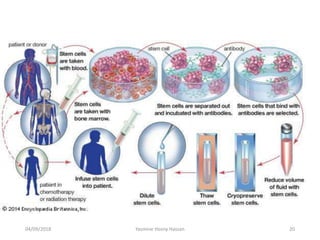 04/09/2018 20Yasmine Hosny Hassan
 