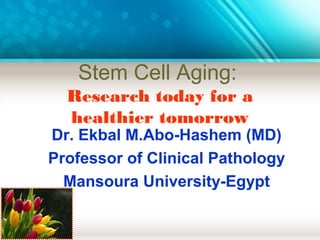 Stem Cell Aging:
Research today for a
healthier tomorrow
Dr. Ekbal M.Abo-Hashem (MD)
Professor of Clinical Pathology
Mansoura University-Egypt
 