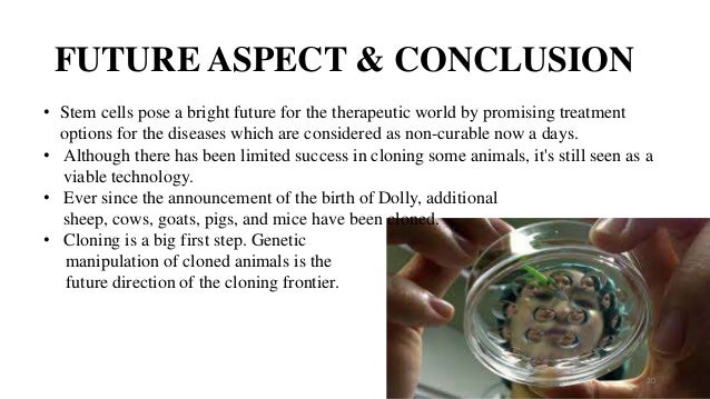 conclusion of stem cell research