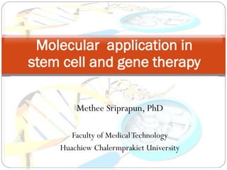 Methee Sriprapun, PhD 
Faculty of Medical Technology 
Huachiew Chalermprakiet University 
Molecular application in stem cell and gene therapy  