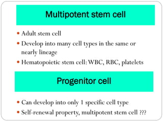 Stem cell and gene therapy | PDF