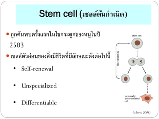 Stem cell and gene therapy | PDF
