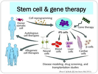 Stem cell and gene therapy | PDF