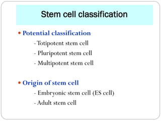 Potential Classification Stem cell and gene therapy | PDF