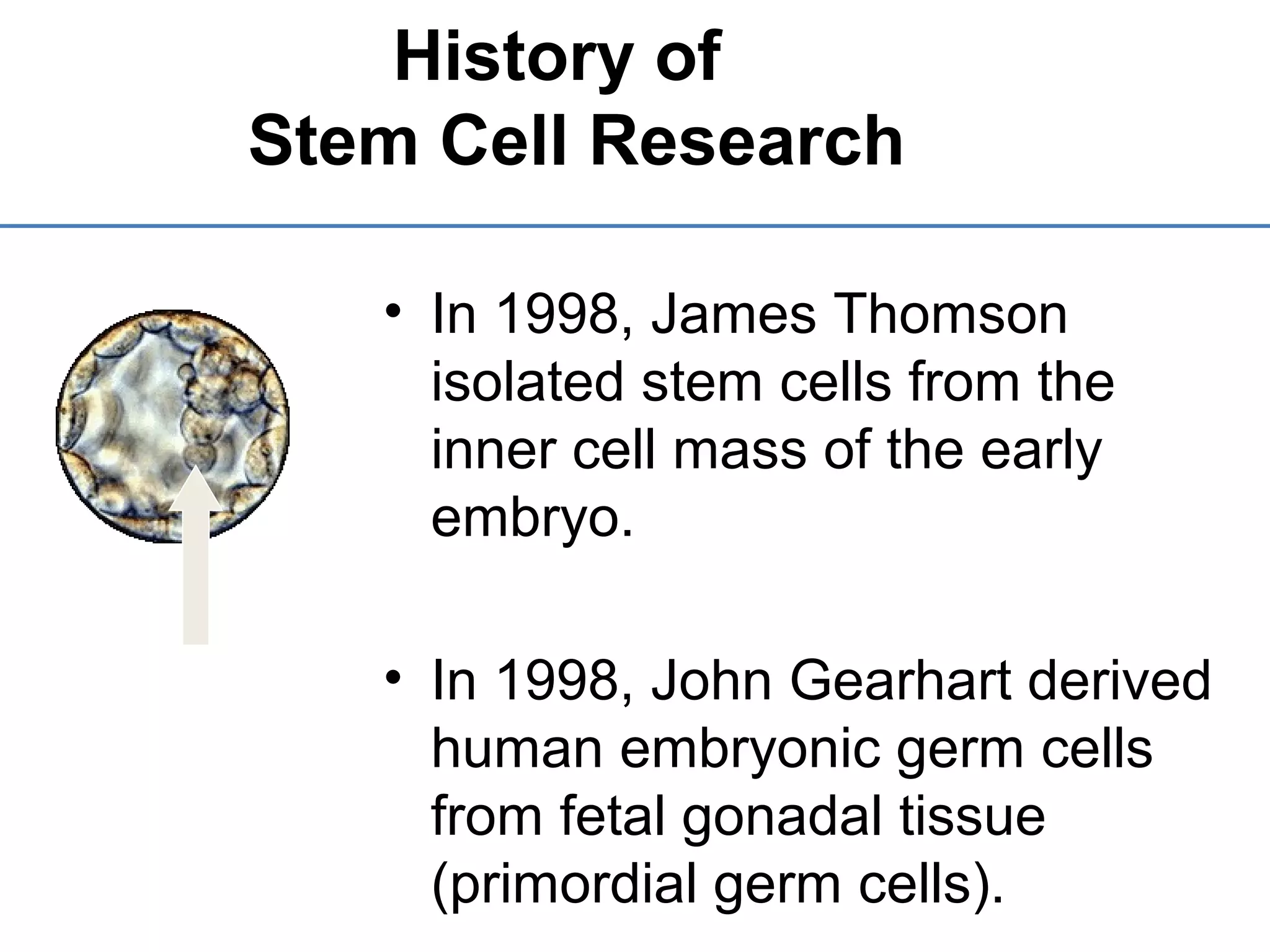 • In 1998, James Thomson
isolated stem cells from the
inner cell mass of the early
embryo.
• In 1998, John Gearhart derived
human embryonic germ cells
from fetal gonadal tissue
(primordial germ cells).
History of
Stem Cell Research
 