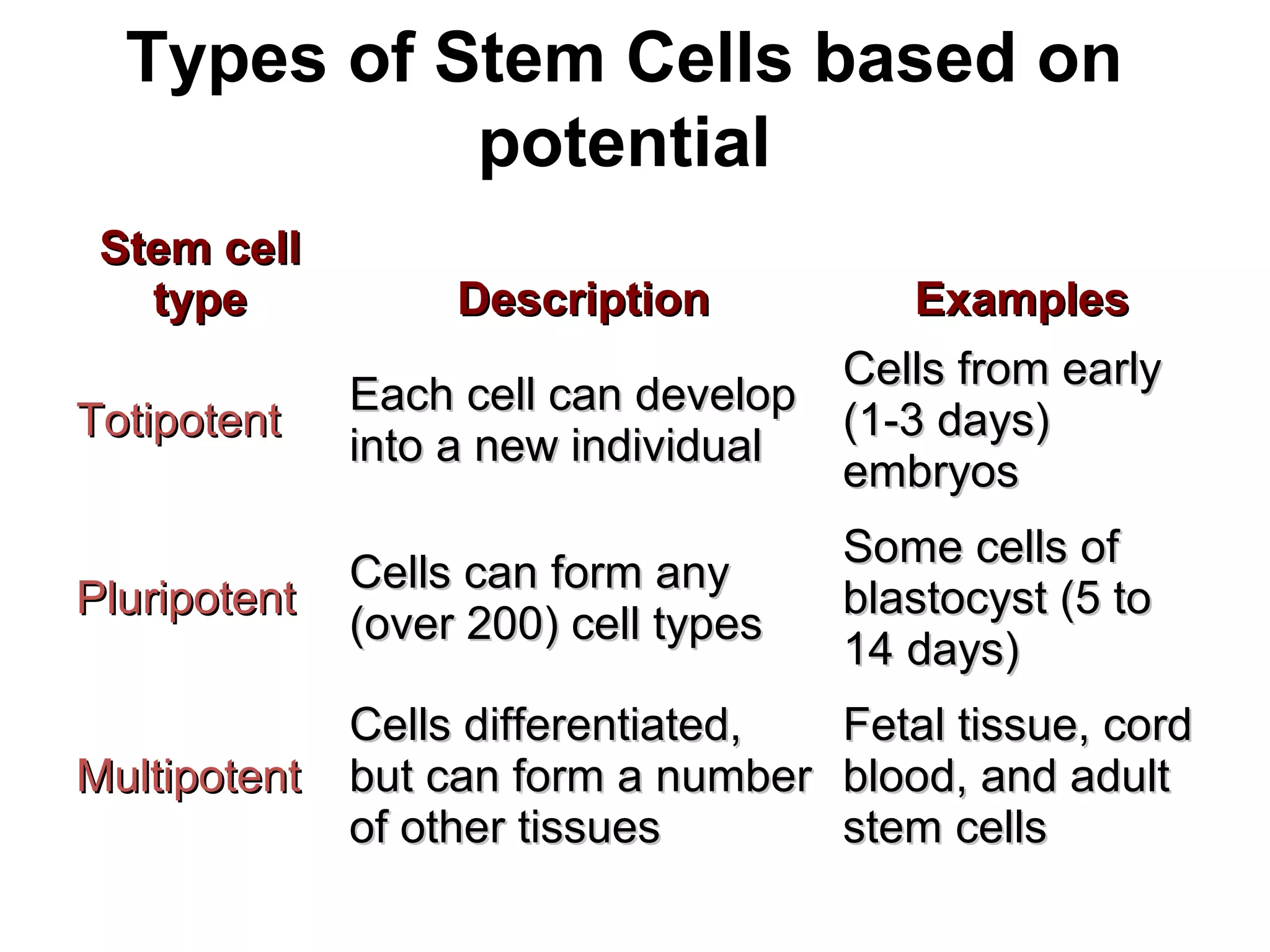 Types of Stem Cells based on
potential
Stem cellStem cell
typetype DescriptionDescription ExamplesExamples
TotipotentTotipotent
Each cell can developEach cell can develop
into a new individualinto a new individual
Cells from earlyCells from early
(1-3 days)(1-3 days)
embryosembryos
PluripotentPluripotent
Cells can form anyCells can form any
(over 200) cell types(over 200) cell types
Some cells ofSome cells of
blastocyst (5 toblastocyst (5 to
14 days)14 days)
MultipotentMultipotent
Cells differentiated,Cells differentiated,
but can form a numberbut can form a number
of other tissuesof other tissues
Fetal tissue, cordFetal tissue, cord
blood, and adultblood, and adult
stem cellsstem cells
 