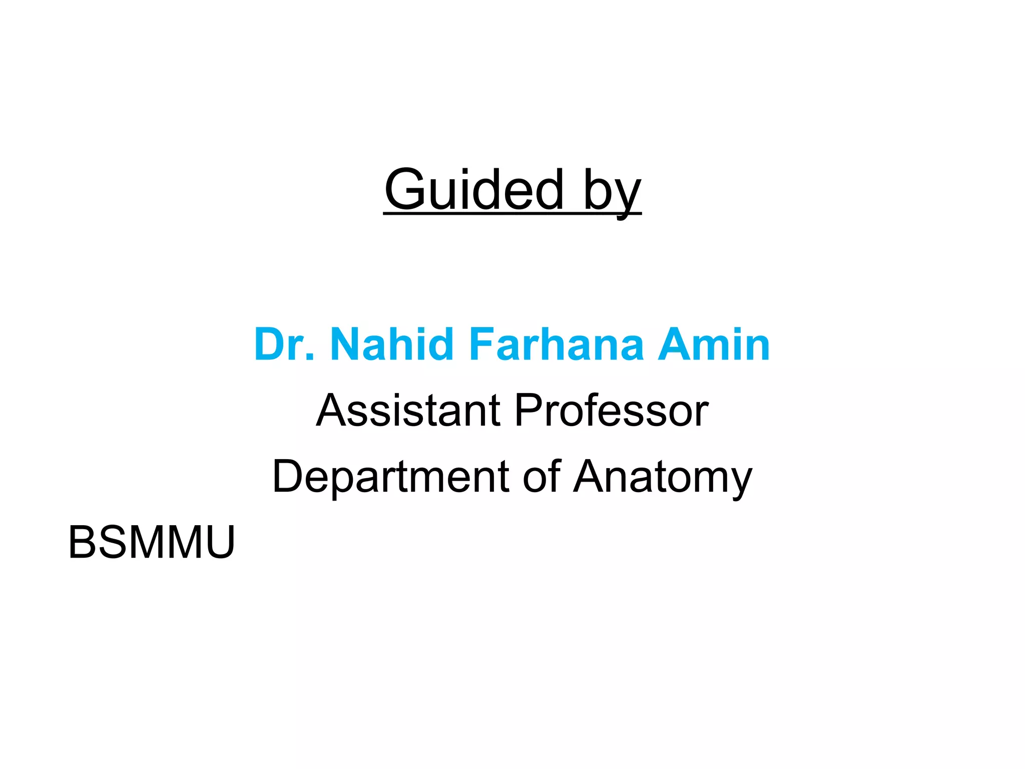 Guided by
Dr. Nahid Farhana Amin
Assistant Professor
Department of Anatomy
BSMMU
 