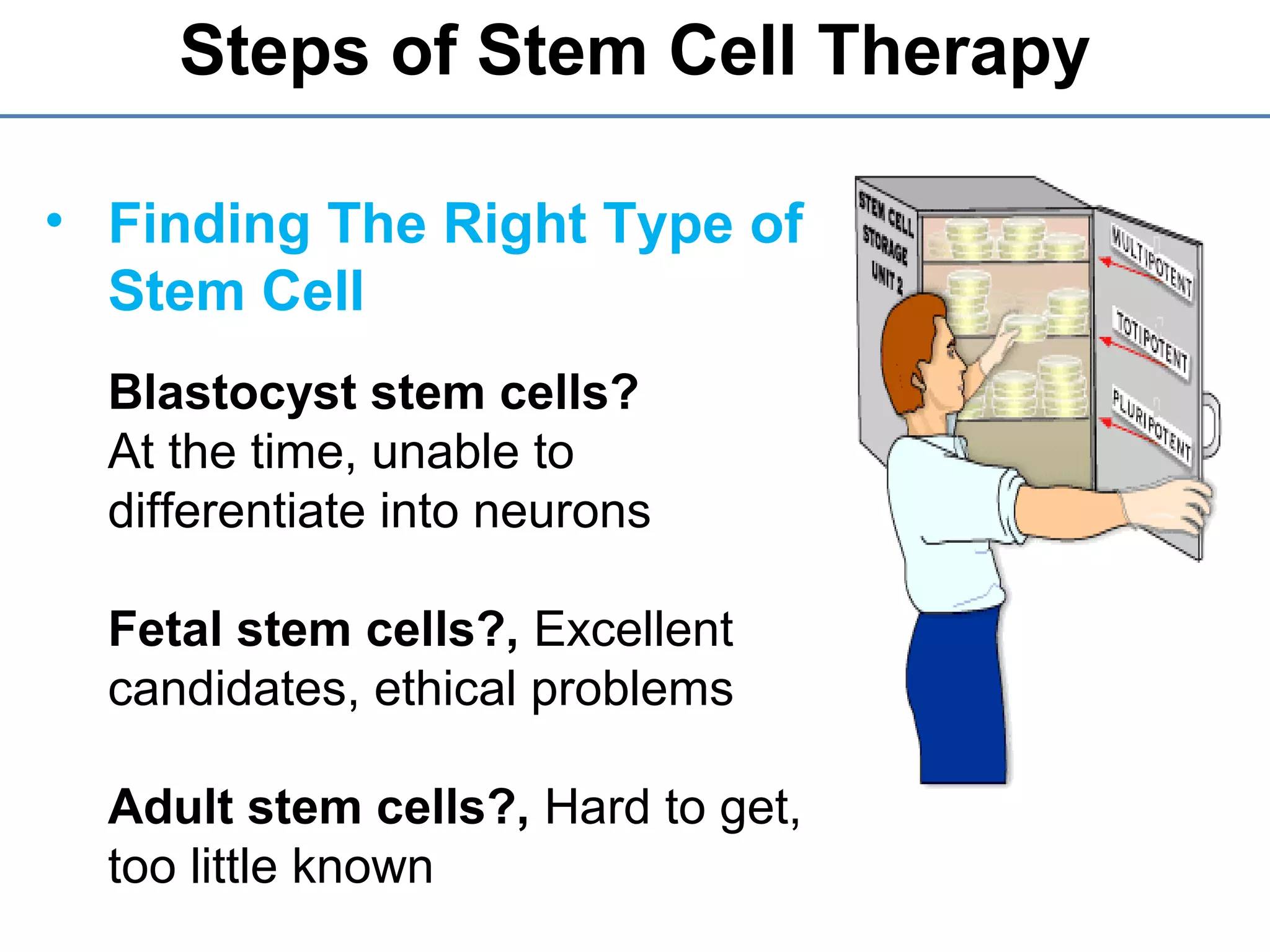 • Finding The Right Type of
Stem Cell
Blastocyst stem cells?
At the time, unable to
differentiate into neurons
Fetal stem cells?, Excellent
candidates, ethical problems
Adult stem cells?, Hard to get,
too little known
Steps of Stem Cell Therapy
 