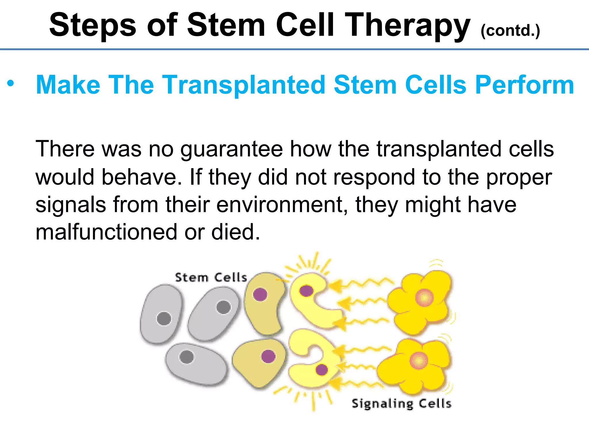 • Make The Transplanted Stem Cells Perform
There was no guarantee how the transplanted cells
would behave. If they did not respond to the proper
signals from their environment, they might have
malfunctioned or died.
Steps of Stem Cell Therapy (contd.)
 