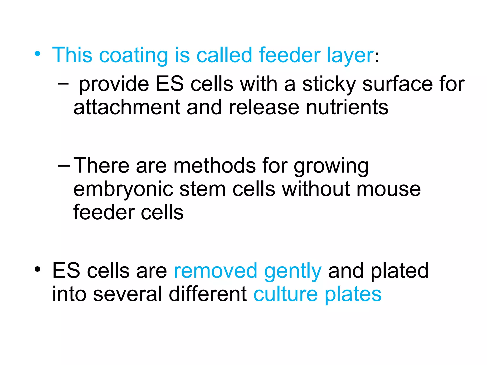 • This coating is called feeder layer:
– provide ES cells with a sticky surface for
attachment and release nutrients
–There are methods for growing
embryonic stem cells without mouse
feeder cells
• ES cells are removed gently and plated
into several different culture plates
 