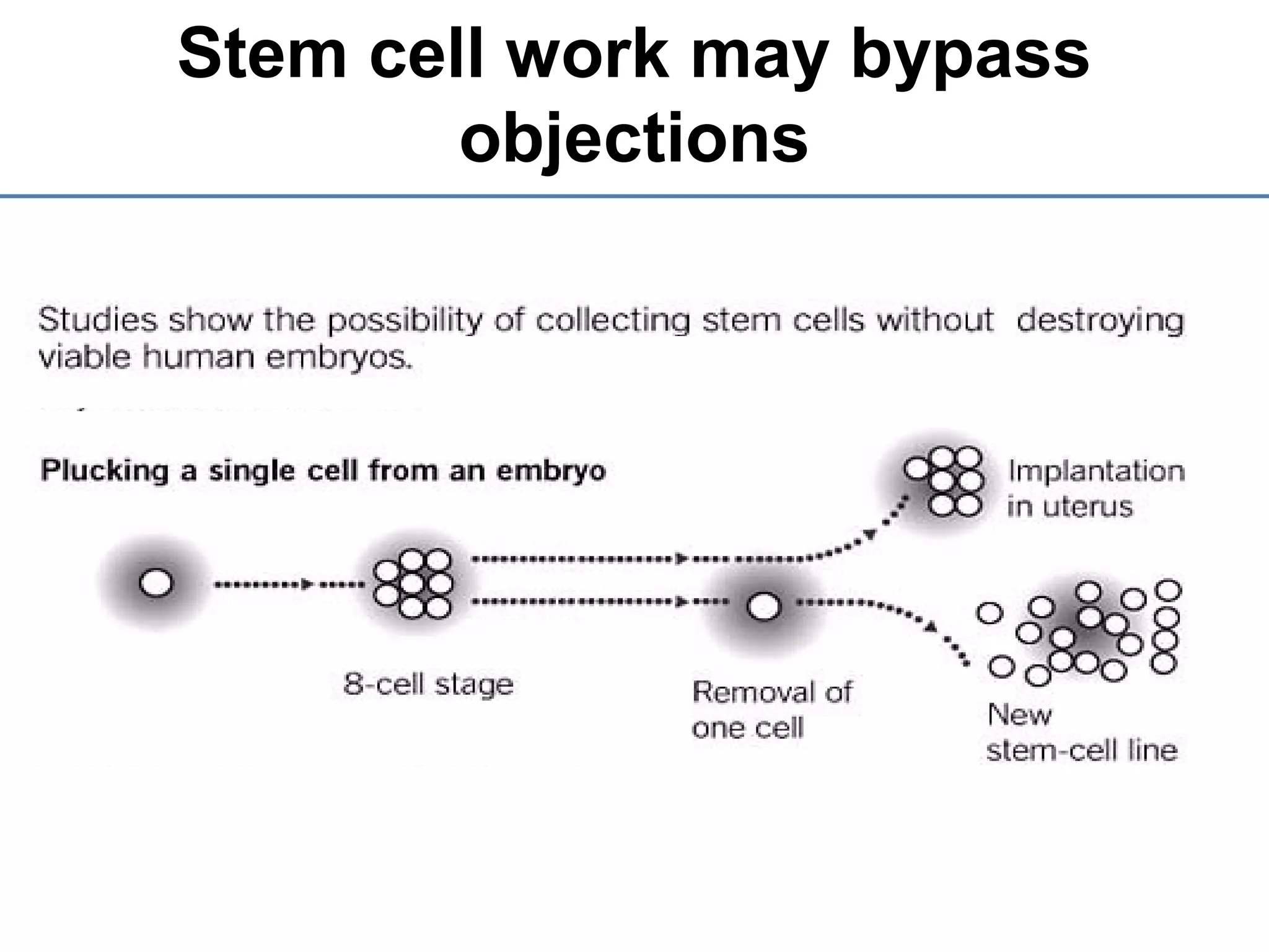 Stem cell work may bypass
objections
 