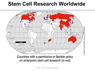 SCAN – Stem Cell Action Network
Stem Cell Research Worldwide
 