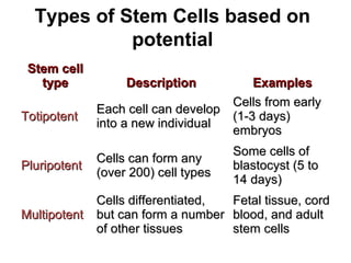 Types of Stem Cells based on
potential
Stem cellStem cell
typetype DescriptionDescription ExamplesExamples
TotipotentTotipotent
Each cell can developEach cell can develop
into a new individualinto a new individual
Cells from earlyCells from early
(1-3 days)(1-3 days)
embryosembryos
PluripotentPluripotent
Cells can form anyCells can form any
(over 200) cell types(over 200) cell types
Some cells ofSome cells of
blastocyst (5 toblastocyst (5 to
14 days)14 days)
MultipotentMultipotent
Cells differentiated,Cells differentiated,
but can form a numberbut can form a number
of other tissuesof other tissues
Fetal tissue, cordFetal tissue, cord
blood, and adultblood, and adult
stem cellsstem cells
 
