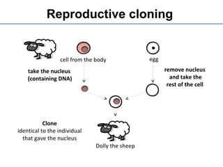 Reproductive cloning
remove nucleus
and take the
rest of the cell
egg
take the nucleus
(containing DNA)
cell from the body
Clone
identical to the individual
that gave the nucleus
Dolly the sheep
 