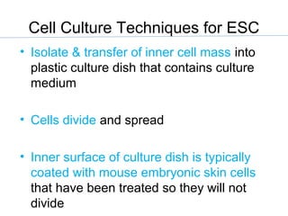 Cell Culture Techniques for ESC
• Isolate & transfer of inner cell mass into
plastic culture dish that contains culture
medium
• Cells divide and spread
• Inner surface of culture dish is typically
coated with mouse embryonic skin cells
that have been treated so they will not
divide
 