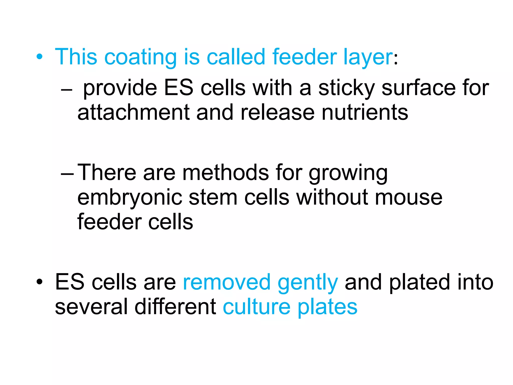 • This coating is called feeder layer:
– provide ES cells with a sticky surface for
attachment and release nutrients
–There are methods for growing
embryonic stem cells without mouse
feeder cells
• ES cells are removed gently and plated into
several different culture plates
 
