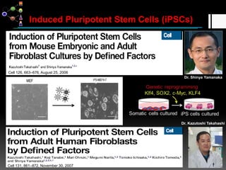 Stem cell and regenerative medicine | PPTX