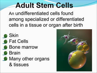 Stem Cells and their Therapeutic applications | PPT