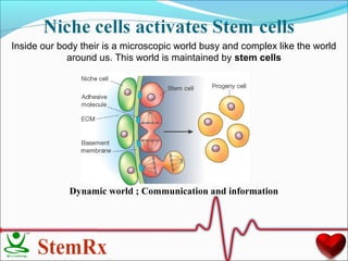 Stem Cells and their Therapeutic applications | PPT