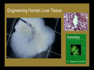 Stem Cells and their Therapeutic applications | PPT