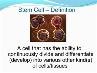 Stem Cells and their Therapeutic applications | PPT
