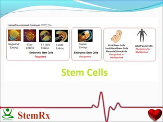 Stem Cells and their Therapeutic applications | PPT