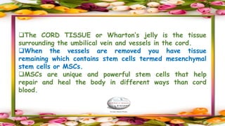 The CORD TISSUE or Wharton’s jelly is the tissue
surrounding the umbilical vein and vessels in the cord.
When the vessels are removed you have tissue
remaining which contains stem cells termed mesenchymal
stem cells or MSCs.
MSCs are unique and powerful stem cells that help
repair and heal the body in different ways than cord
blood.
 