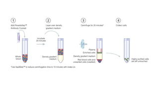 Cell Baking Process Stem Cell Banking, Methods, Processing and Procedure | PDF