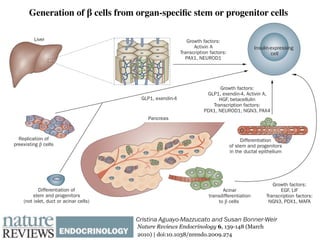 Stem cell based therapies for diabetes | PDF
