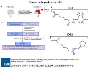 Stuart Cell Stem cell based therapies for diabetes | PDF