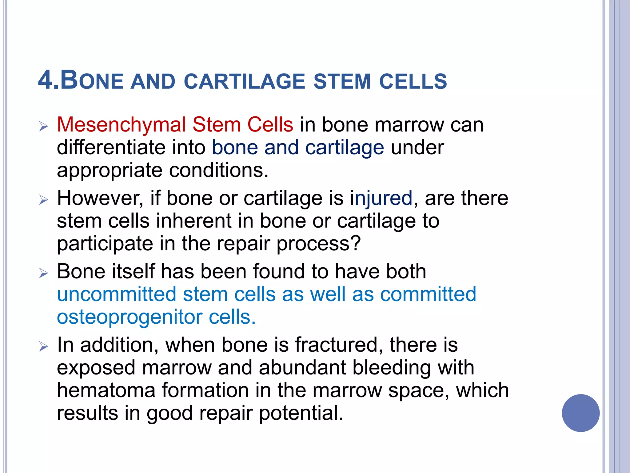4.BONE AND CARTILAGE STEM CELLS
 Mesenchymal Stem Cells in bone marrow can
differentiate into bone and cartilage under
appropriate conditions.
 However, if bone or cartilage is injured, are there
stem cells inherent in bone or cartilage to
participate in the repair process?
 Bone itself has been found to have both
uncommitted stem cells as well as committed
osteoprogenitor cells.
 In addition, when bone is fractured, there is
exposed marrow and abundant bleeding with
hematoma formation in the marrow space, which
results in good repair potential.
 