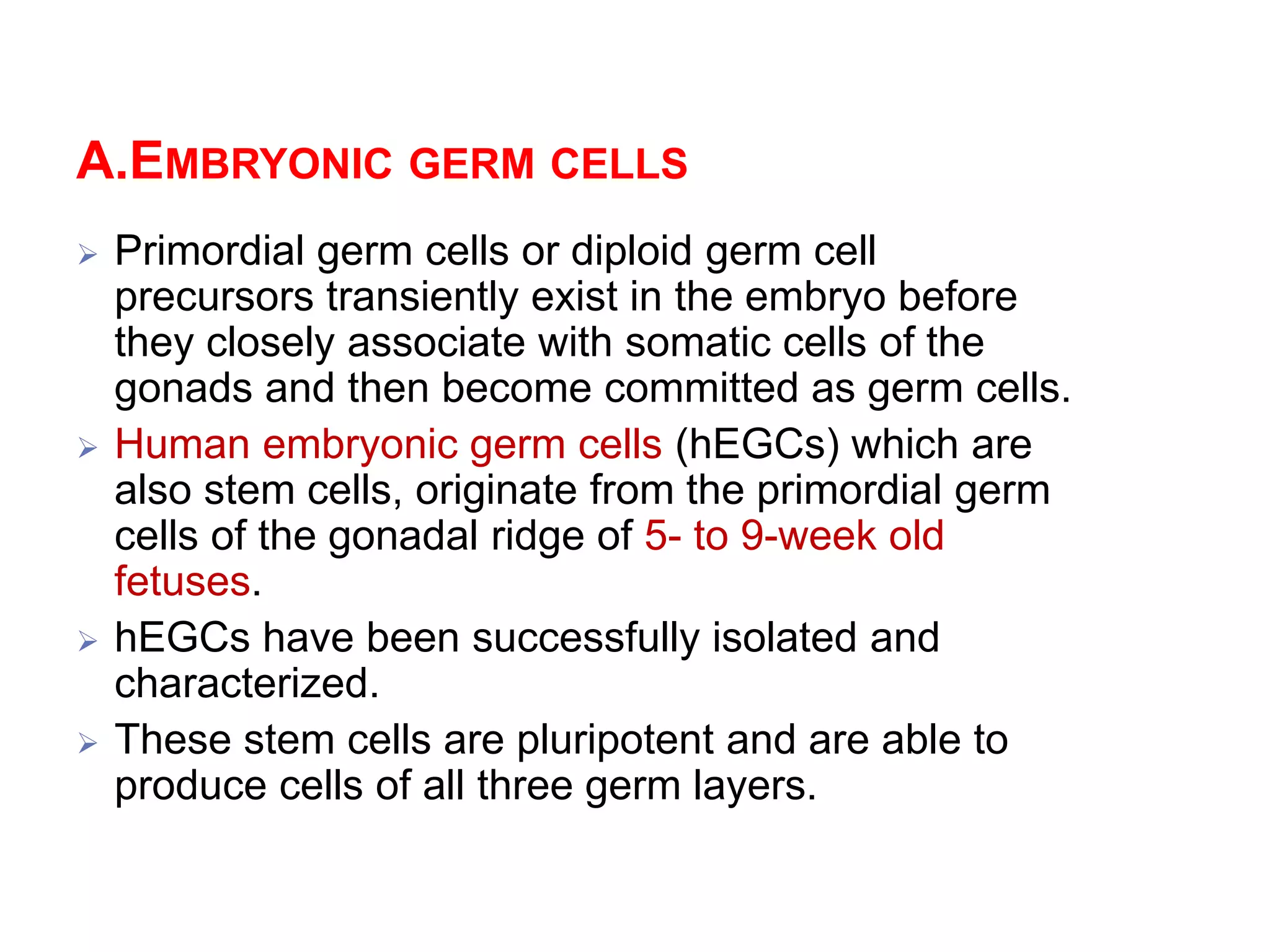 A.EMBRYONIC GERM CELLS
 Primordial germ cells or diploid germ cell
precursors transiently exist in the embryo before
they closely associate with somatic cells of the
gonads and then become committed as germ cells.
 Human embryonic germ cells (hEGCs) which are
also stem cells, originate from the primordial germ
cells of the gonadal ridge of 5- to 9-week old
fetuses.
 hEGCs have been successfully isolated and
characterized.
 These stem cells are pluripotent and are able to
produce cells of all three germ layers.
 