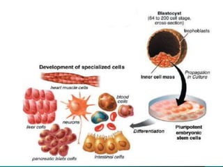 5/15/2020 Dr. Hariom Yadav
 