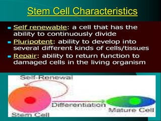 5/15/2020
Stem Cell Characteristics
 