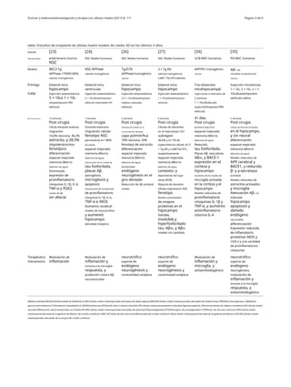 Duncan y ValenzuelaInvestigación y terapia con células madre (2017) 8: 111 Página 3 de 9
tabla 1Estudios de trasplante de células madre modelo de roedor AD en los últimos 5 años
Estudio
Tipo de célula
[23] [24]
NSC fetales humanos
[26]
NSC fetales humanos
[27]
NSC fetales humanos
[34]
UCB-MSC humanos
[35]
PD-MSC humanas
embrionario murino
NSC
Modelo B6C3-Tg
(APPswe / PSEN1dE9)
ratones transgénicos
NSE APPswe
ratones transgénicos
Tg2576
(APPswe) transgénico
ratones
3 × Tg-AD
ratones transgénicos
CaM / Tet-DTAratones
APP/PS1 transgénico
ratones
AB1–42
infundido cerebralmente
ratones
Entrega bilateral intra-
hipocampo
inyección estereotáctica
5 × 105a 1 × 106
célulasImpostor:PBS
vehículo
bilateral intra-
ventricular
inyección estereotáctica
5 × 105célulasImpostor:
vehículo intermedio HH
bilateral intra-
hipocampo
inyección estereotáctica
2,5 × 105célulasImpostor:
medios culturales
vehículo
bilateral intra-
hipocampo
inyección estereotáctica
1 × 105célulasImpostor:
vehículo
Tres bilaterales
intrahipocampal
inyecciones a intervalos de
2 semanas
1 × 105células por
inyecciónImpostor:PBS
vehículo
Inyección intravenosa
1 × 105, 5 × 105, o 1 ×
106célulasImpostor:
vehículo salino
ruta
Recomendaciones 10 semanas
Post cirugía
Célula donante extensa
migración
14,6% neurona, 36,2%
astrocito, y 28,5%
oligodendrocitos
fenotípico
diferenciación
espacial mejorado
memoria (Morris
laberinto de agua)
Disminuido
expresión de
proinflamatorio
citoquinas IL-1β, IL-6,
TNF-α y PGE2
niveles de Aβ
sin alterar
7 semanas
Post cirugía
Donante extensivo
migración celular
fenotipo NSC
permaneció en >80%
de células
espacial mejorado
memoria (Morris
laberinto de agua)
Disminución de los niveles de
tau fosforilada,
placas Aβ,
astrogliosis,
microgliosis y
apoptosis
Disminución de la expresión
de proinflamatorio
citoquinas IL-1β, IL-6,
TNF-α e iNOS
Aumento cerebral
niveles de neurotrofina
y aumentó
hipocampo
densidad sináptica
5 semanas
Post cirugía
Donante de células en la
circunvolución dentada
capa polimórfica
70% neurona, 20%
fenotipo de astrocito
diferenciación
espacial mejorado
memoria (Morris
laberinto de agua)
Aumentado
endógeno
neurogénesis en el
giro dentado
Reducción de Aβ cerebral
niveles
6 semanas
Post cirugía
Células de donantes
en el hipocampo CA1
subregión
36,6% y 41,1% de
supervivencia celular en 3
× Tg-AD y CaM/Tet-DTA,
respectivamente
espacial mejorado
memoria (Morris
laberinto de agua,
contexto- y
dependiente del lugar
tarea NOR)
Mayoría de donante
células expresaron NSC
fenotipo
Niveles aumentados
de sinapsis
proteínas en el
hipocampo
Soluble,
insoluble y
hiperfosforilado
tau, Aβ40, y Aβ42
niveles sin cambios
41 días
Post cirugía
(primera inyección)
espacial mejorado
memoria (Morris
laberinto de agua)
Reducido
tau fosforilada,
Placas Aβ, vasculares
AB40, y BACE-1
expresión en el
corteza y
hipocampo
Aumento de los niveles de
microglía activada
en la corteza y el
hipocampo
Niveles reducidos de
proinflamatorio
citoquinas IL-1β y
TNF-α, y aumento
antiinflamatorio
citocina IL-4
2 semanas
Post cirugía
Células de donantes limitadas
en el hipocampo,
y sin neural
diferenciación
espacial mejorado
memoria (Morris
laberinto de agua)
Niveles reducidos de
APP cerebral y
BACE1, y reducido
β- y γ-secretasa
actividad
Niveles reducidos de
astrocitos activados
y microglía
Atenuación Aβ1–42
inducido
hipocampo
apoptosis y
dañado
endógeno
neuronales
diferenciación
Expresión reducida
de inflamatorio
proteínas iNOS y
COX-2 y una variedad
de proinflamatorios
citoquinas
Terapéutico
mecanismo
Modulación de
inflamación
Modulación de
inflamación y
inmune a la microglía
respuesta, y
protección contra Aβ
neurotoxicidad
neurotrófico
soporte de
endógeno
neurogénesis y
conectividad sináptica
neurotrófico
soporte de
endógeno
neurogénesis y
conectividad sináptica
Modulación de
inflamación y
microglía, y
antiamiloidogénico
neurotrófico
soporte de
endógeno
neurogénesis,
modulación de
inflamación y
inmune a la microglía
respuesta, y
antiamiloidogénico
ABbeta amiloide,ANUNCIOenfermedad de alzhéimer,A-MSCcélulas madre mesenquimales derivadas de tejido adiposo,BM-MSCcélulas madre mesenquimales derivadas de médula ósea,TIMONELciclooxigenasa, GABAácido
gamma-aminobutírico,S.SHenderson-Hasselbalch,ILLINOISinterleucina,iNOSóxido nítrico sintasa inducible,iPSCcélulas madre pluripotentes inducidas,Ngnneurogenina, NIreconocimiento de objetos novedosos,NSCcélulas madre
neurales,PBSsolución salina tamponada con fosfato,PD-MSCcélulas madre mesenquimales derivadas de placenta,PGEprostaglandina,PTGERreceptor de prostaglandina E,TNFfactor de necrosis tumoral,U-MSCCélula madre
mesenquimal derivada de la gelatina de Warton del cordón umbilical,U-MSC-NCCélula de tipo neuronal diferenciada del cordón umbilical Célula madre mesenquimal derivada de la gelatina de Warton,UCB-MSCcélulas madre
mesenquimales derivadas de la sangre del cordón umbilical
 