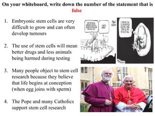 On your whiteboard, write down the number of the statement that is
false
1. Embryonic stem cells are very
difficult to grow and can often
develop tumours
2. The use of stem cells will mean
better drugs and less animals
being harmed during testing
3. Many people object to stem cell
research because they believe
that life begins at conception
(when egg joins with sperm)
4. The Pope and many Catholics
support stem cell research
 