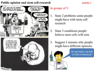 Public opinion and stem cell research activity 1
He says baby, I say ball
of cells or blastocyst
In groups of 3:
1. State 2 problems some people
might have with stem cell
research
2. State 3 conditions people
believe stem cells will cure
3. Suggest 2 reasons why people
might have different opinions
 
