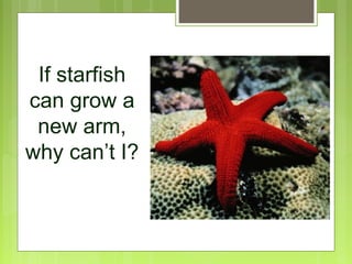 If starfish
can grow a
new arm,
why can’t I?

 