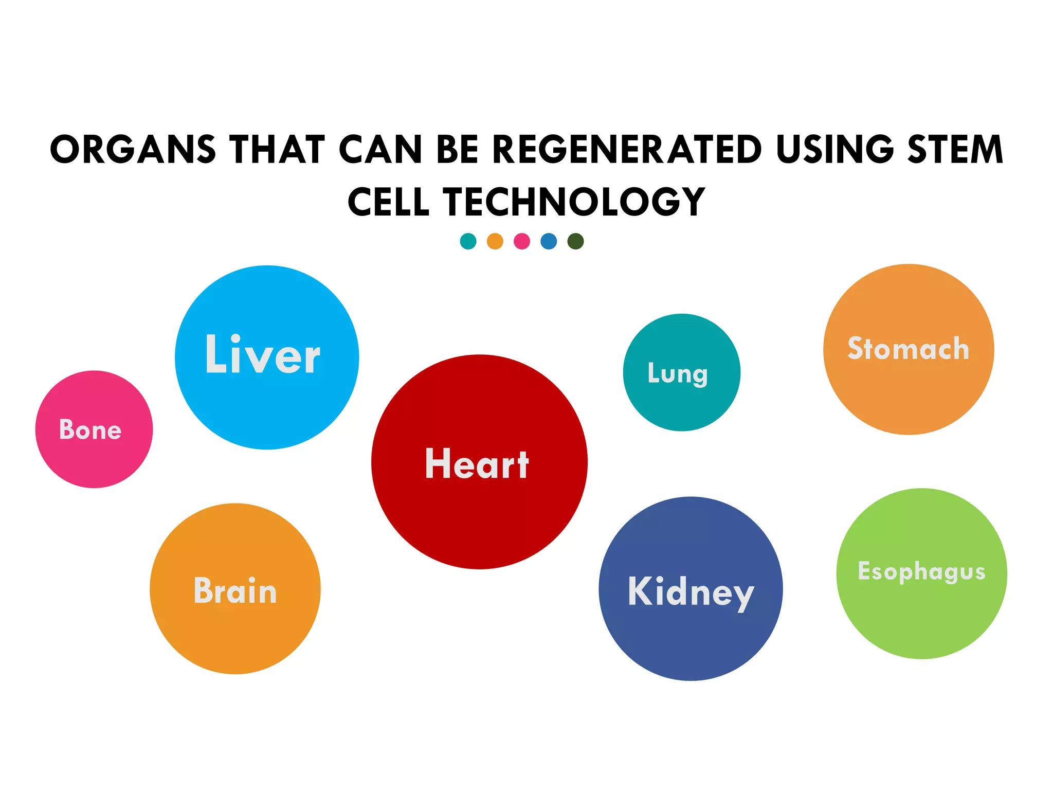 ORGANS THAT CAN BE REGENERATED USING STEM
CELL TECHNOLOGY
Heart
Liver
Brain
Bone
Esophagus
Kidney
Stomach
Lung
 