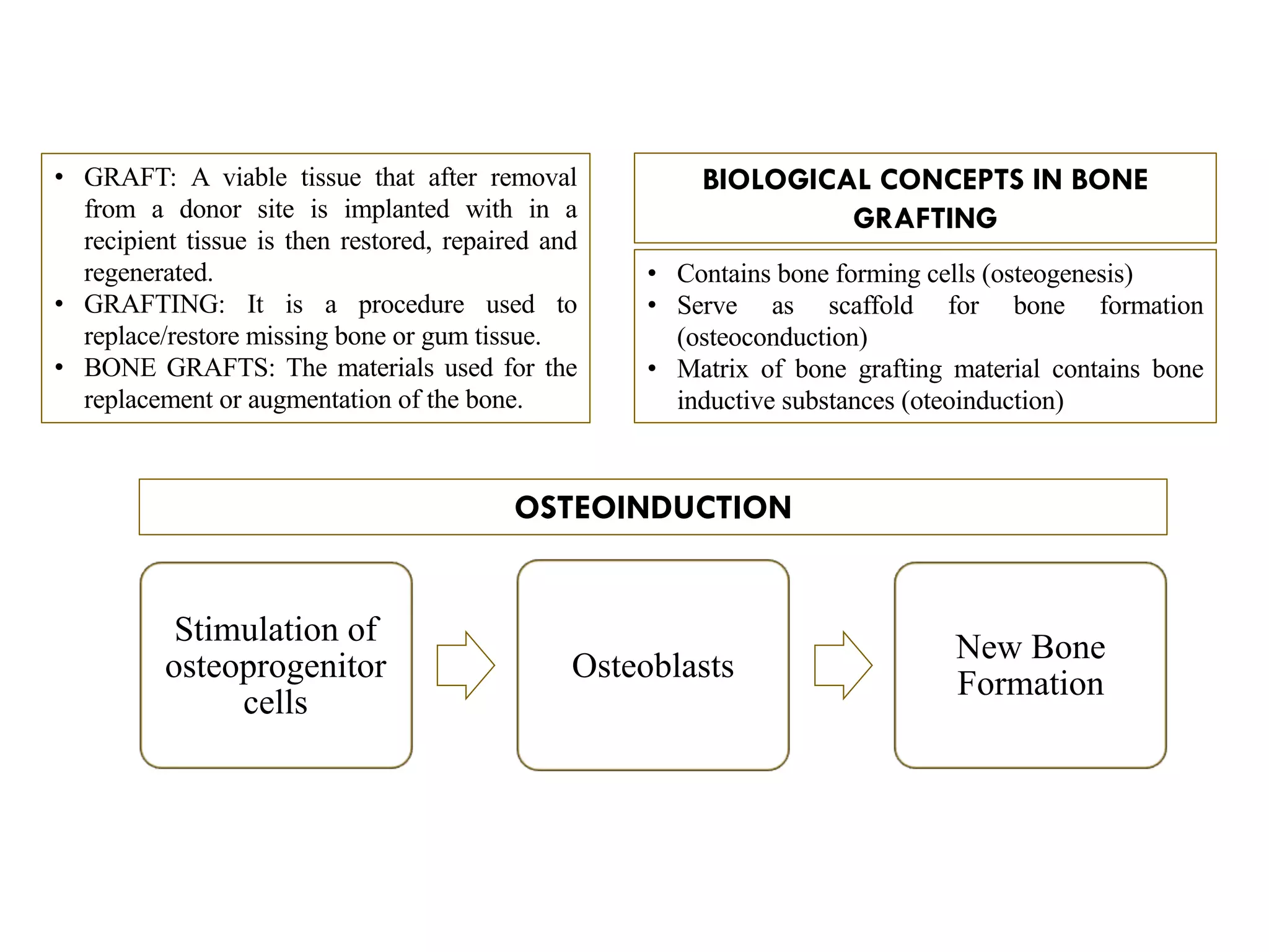 • GRAFT: A viable tissue that after removal
from a donor site is implanted with in a
recipient tissue is then restored, repaired and
regenerated.
• GRAFTING: It is a procedure used to
replace/restore missing bone or gum tissue.
• BONE GRAFTS: The materials used for the
replacement or augmentation of the bone.
OSTEOINDUCTION
Stimulation of
osteoprogenitor
cells
Osteoblasts
New Bone
Formation
BIOLOGICAL CONCEPTS IN BONE
GRAFTING
• Contains bone forming cells (osteogenesis)
• Serve as scaffold for bone formation
(osteoconduction)
• Matrix of bone grafting material contains bone
inductive substances (oteoinduction)
 