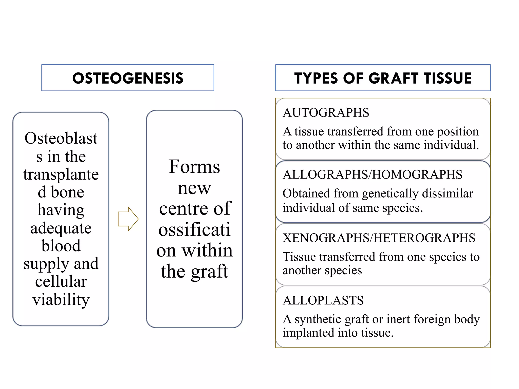 OSTEOGENESIS
Osteoblast
s in the
transplante
d bone
having
adequate
blood
supply and
cellular
viability
Forms
new
centre of
ossificati
on within
the graft
TYPES OF GRAFT TISSUE
AUTOGRAPHS
A tissue transferred from one position
to another within the same individual.
ALLOGRAPHS/HOMOGRAPHS
Obtained from genetically dissimilar
individual of same species.
XENOGRAPHS/HETEROGRAPHS
Tissue transferred from one species to
another species
ALLOPLASTS
A synthetic graft or inert foreign body
implanted into tissue.
 