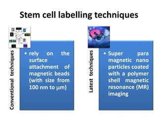 Stem cell imaging using nanoparticles | PPTX