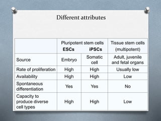 Different attributes
Pluripotent stem cells
ESCs iPSCs
Tissue stem cells
(multipotent)
Source Embryo
Somatic
cell
Adult, juvenile
and fetal organs
Rate of proliferation High High Usually low
Availability High High Low
Spontaneous
differentiation
Yes Yes No
Capacity to
produce diverse
cell types
High High Low
 
